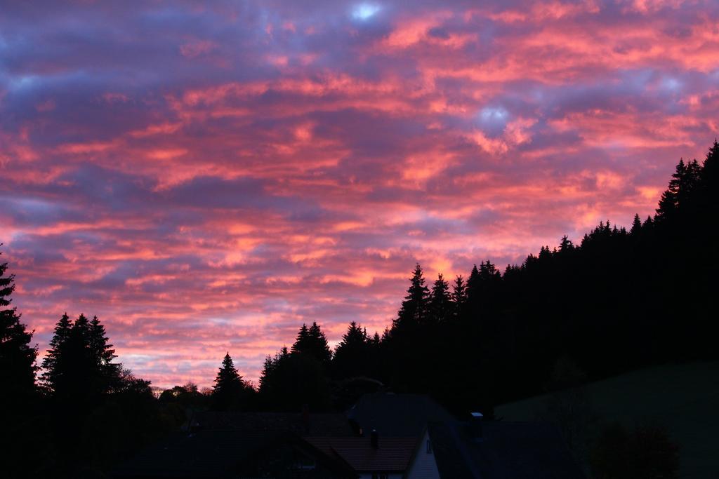 Gasthof Schwarzwaldtanne Schönwalde المظهر الخارجي الصورة