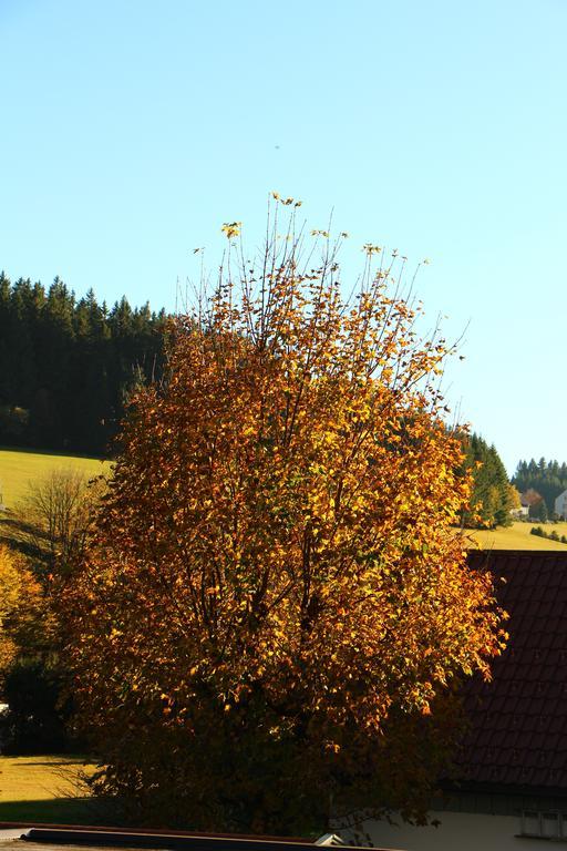Gasthof Schwarzwaldtanne Schönwalde المظهر الخارجي الصورة
