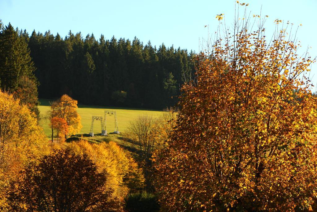 Gasthof Schwarzwaldtanne Schönwalde المظهر الخارجي الصورة