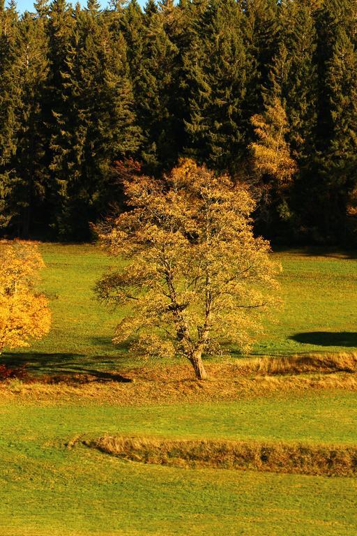 Gasthof Schwarzwaldtanne Schönwalde المظهر الخارجي الصورة